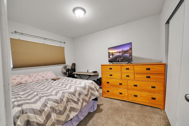 bedroom featuring carpet