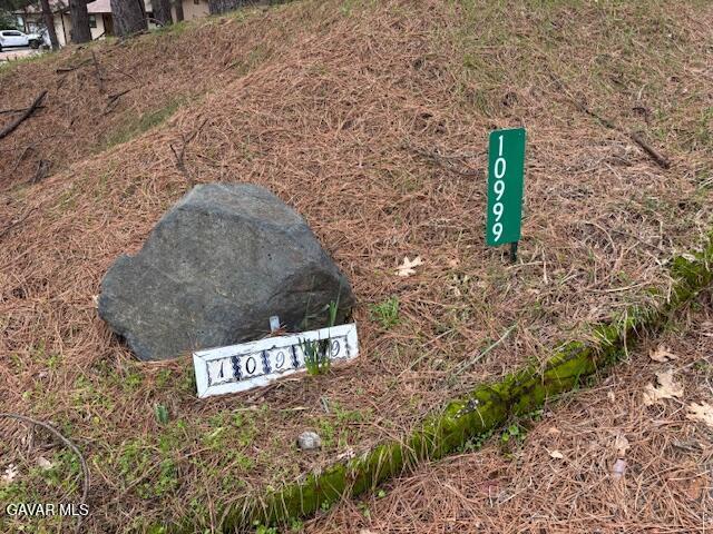 10999 Ball Rd, Grass Valley, CA 95949 - photo 14