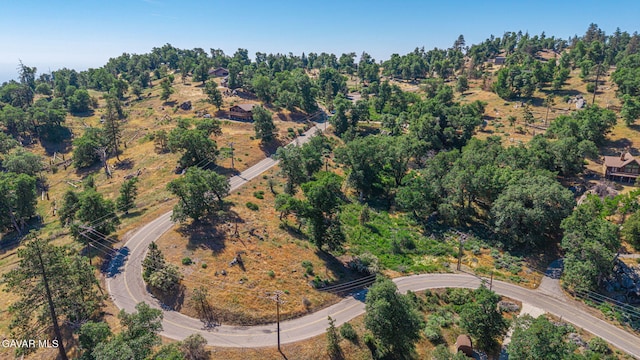 26780 Deertrail Dr, Tehachapi, CA 93561 - photo 42
