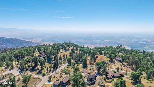26780 Deertrail Dr, Tehachapi, CA 93561 - photo 44