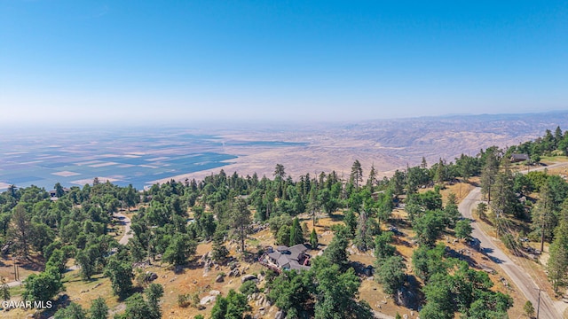 26780 Deertrail Dr, Tehachapi, CA 93561 - photo 43