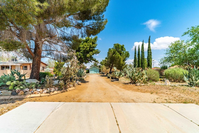 view of street with driveway