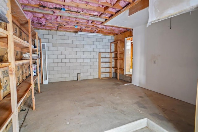 unfinished basement featuring concrete block wall