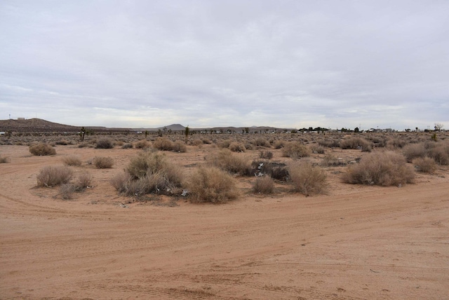 26197 20 Mule Team Rd, Boron, CA 93516