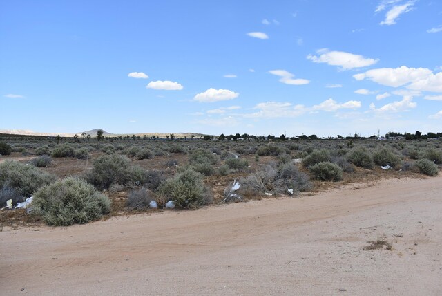 26197 20 Mule Team Rd, Boron, CA 93516