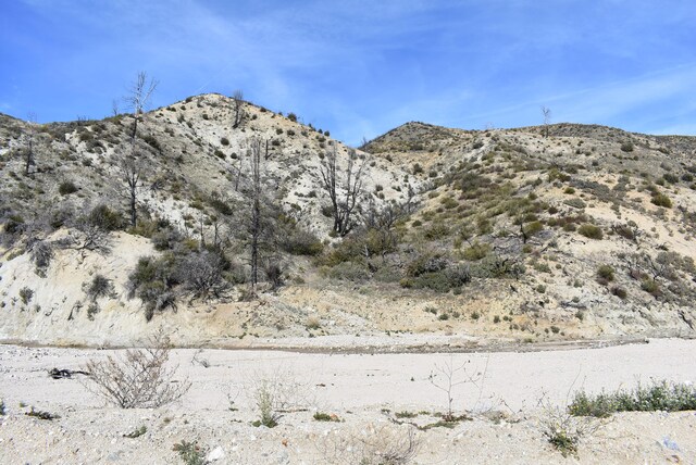 20661 Pine Canyon Rd, Lake Hughes, CA 93532 - photo 2