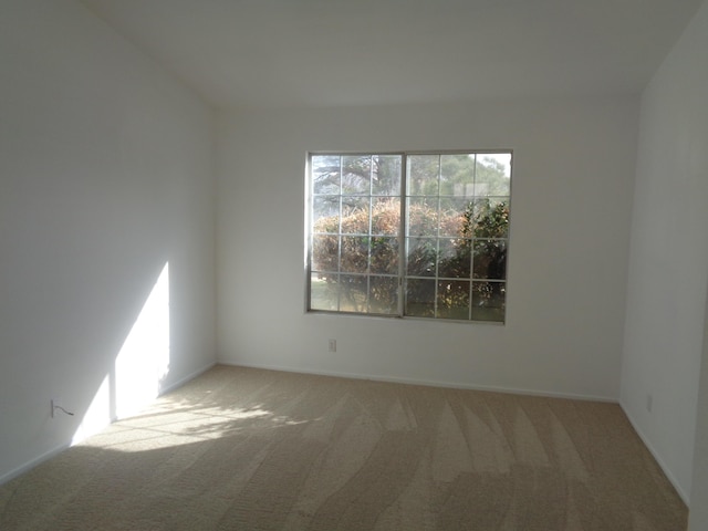 unfurnished room with carpet