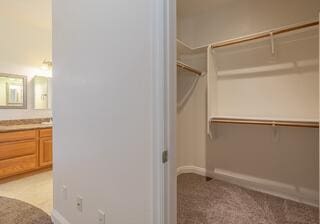 spacious closet featuring light colored carpet