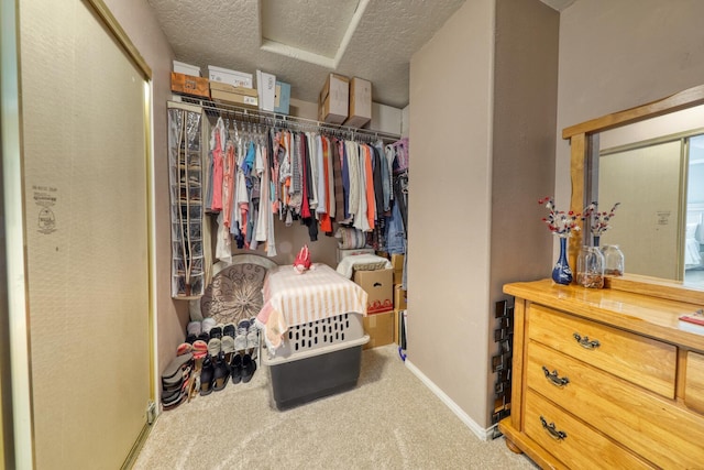 spacious closet featuring carpet flooring