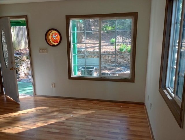 unfurnished dining area featuring baseboards, wood finished floors, and a wealth of natural light