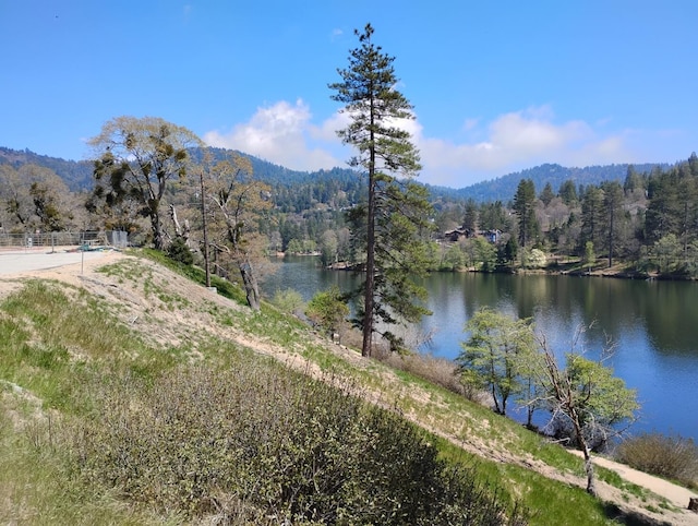 23318 Crest Forest Dr, Crestline, CA 92325 - water view with a forest and mountains