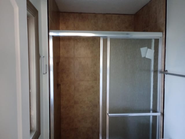 bathroom with a shower stall