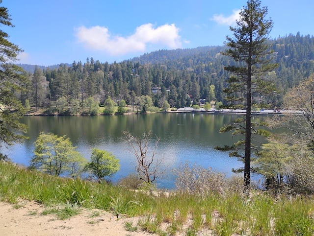 23318 Crest Forest Dr, Crestline, CA 92325 - water view with a forest
