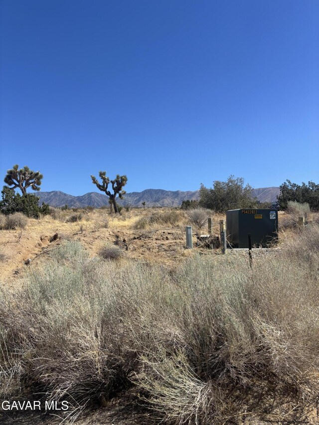 0 E E Ave W Unit 4, Pearblossom, CA 93553 - photo 7