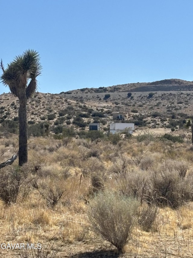 0 E E Ave W Unit 4, Pearblossom, CA 93553 - photo 2
