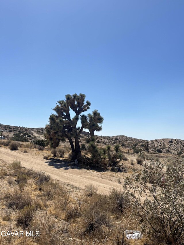0 E E Ave W Unit 4, Pearblossom, CA 93553 - photo 8