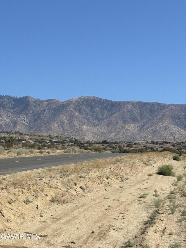 0 E E Ave W Unit 4, Pearblossom, CA 93553 - photo 3