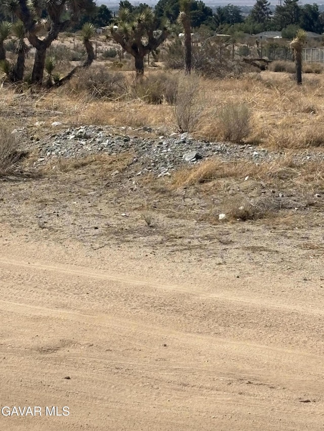 0 E E Ave W Unit 4, Pearblossom, CA 93553 - photo 1