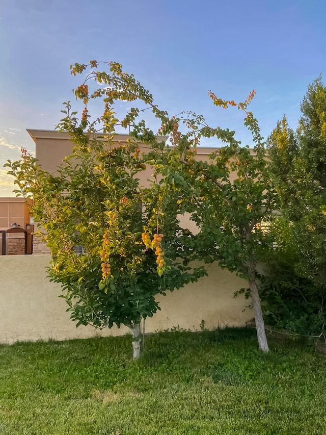 42722 W 20th St, Lancaster, CA 93534 - view of property exterior with stucco siding and a yard