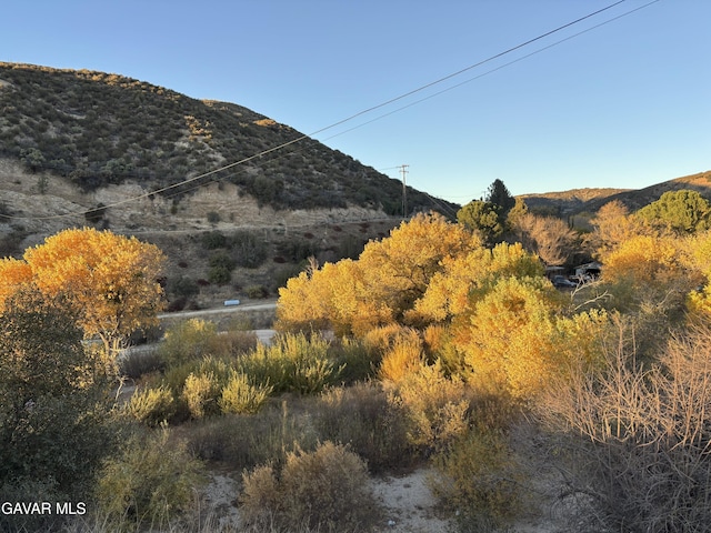 42930 Lake Hughes Rd, Lake Hughes, CA 93532 - photo 22