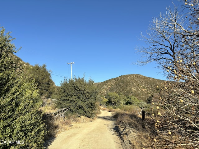 42930 Lake Hughes Rd, Lake Hughes, CA 93532 - photo 25
