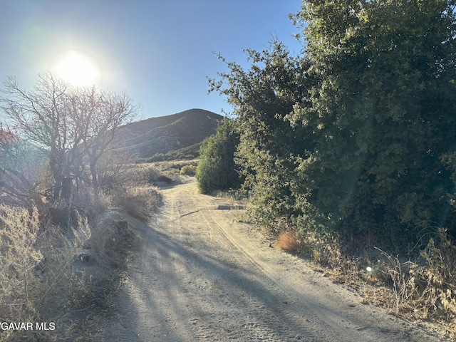 42930 Lake Hughes Rd, Lake Hughes, CA 93532 - photo 26