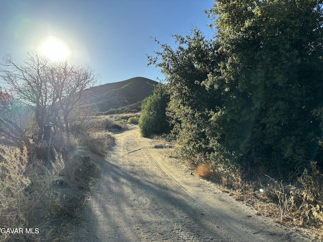 42930 Lake Hughes Rd, Lake Hughes, CA 93532 - photo 35