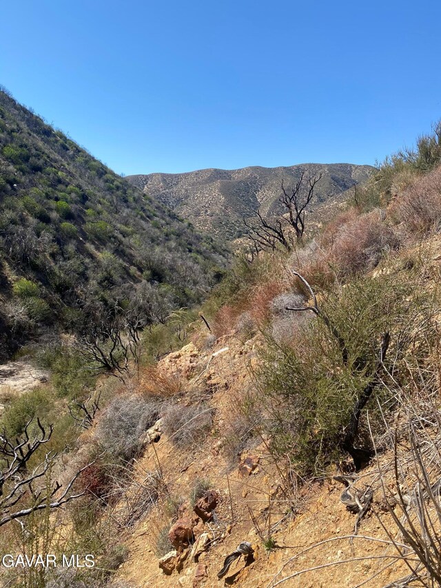 42930 Lake Hughes Rd, Lake Hughes, CA 93532 - photo 37