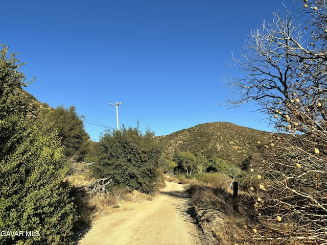 42930 Lake Hughes Rd, Lake Hughes, CA 93532 - photo 36