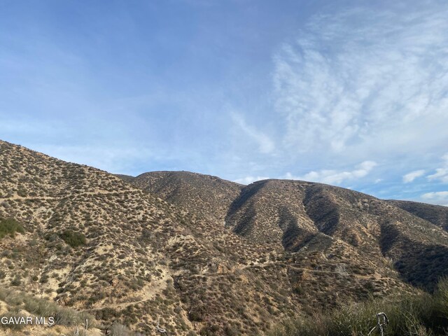 42930 Lake Hughes Rd, Lake Hughes, CA 93532 - photo 38