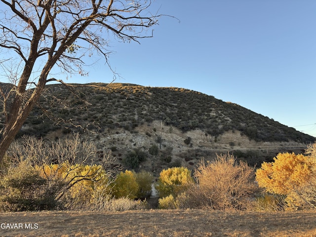 42930 Lake Hughes Rd, Lake Hughes, CA 93532 - photo 27