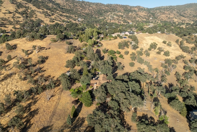 24100 Sorrel Ct, Tehachapi, CA 93561 - photo 54