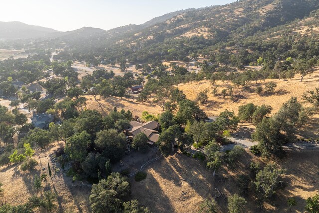 24100 Sorrel Ct, Tehachapi, CA 93561 - photo 53