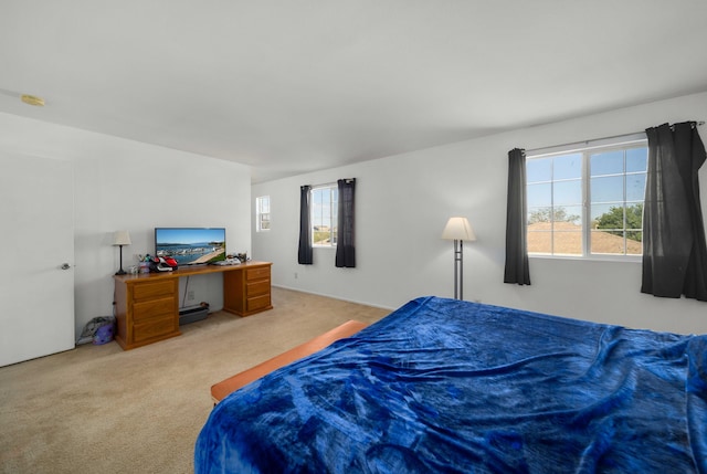 43048 Rucker St, Lancaster, CA 93535 - bedroom featuring carpet floors