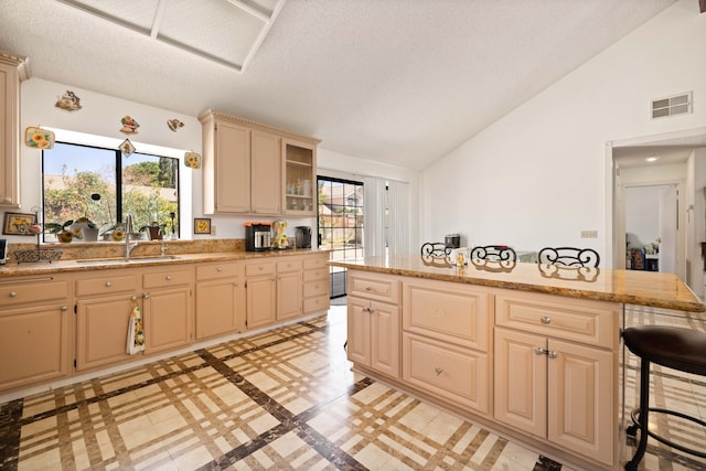 kitchen with lofted ceiling, sink, plenty of natural light, and a kitchen bar