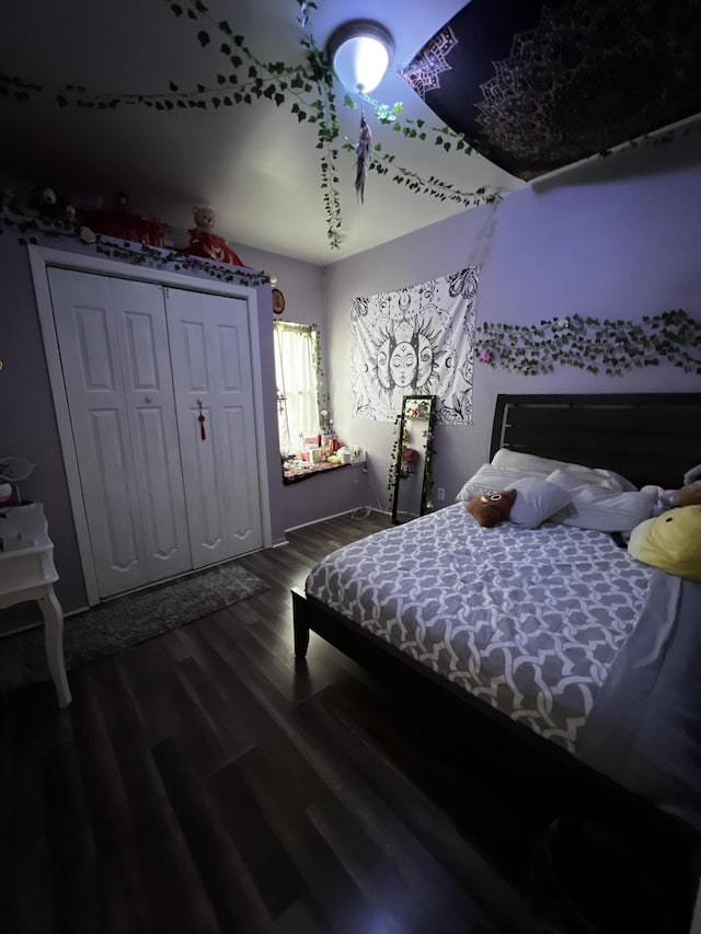 bedroom featuring a closet and dark wood-type flooring