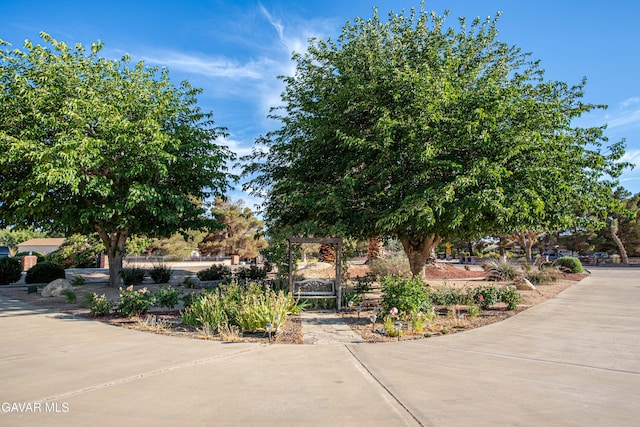 43710 Shiloh Ln, Lancaster, CA 93535 - view of property's community