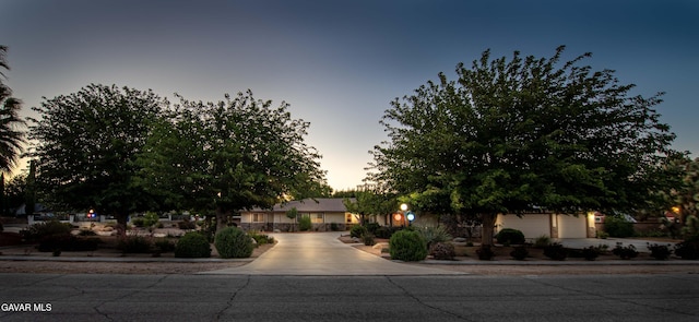 43710 Shiloh Ln, Lancaster, CA 93535 - view of property hidden behind natural elements with curved driveway