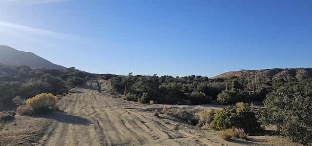 Listing photo 2 for Nearwood Rd, Juniper Hills CA 93543