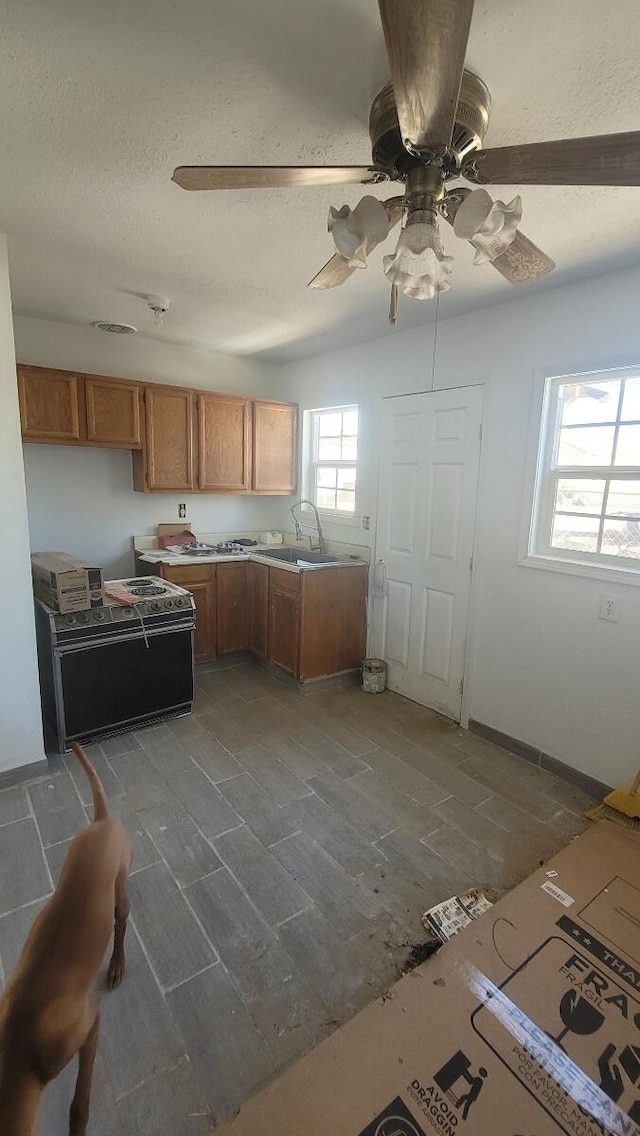 kitchen featuring electric range, ceiling fan, and sink