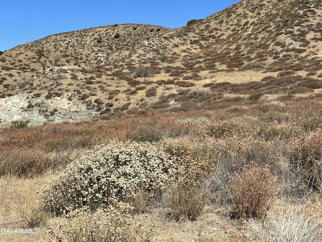 W 90th St, Palmdale, CA 93551 - photo 7