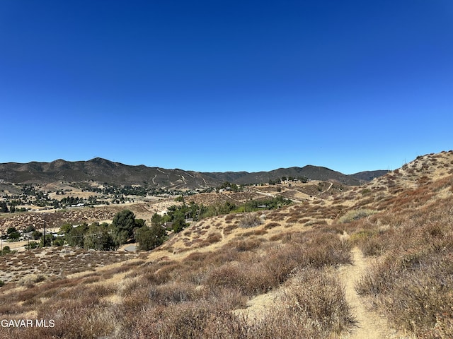 W 90th St, Palmdale, CA 93551 - photo 5