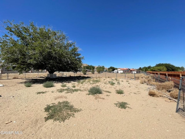 40205 E 162nd St, Palmdale, CA 93591 - view of yard