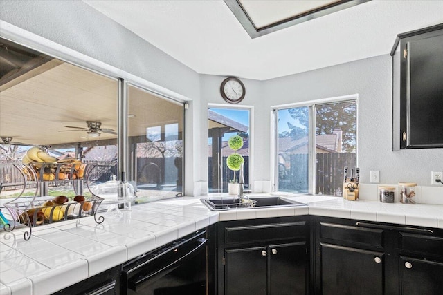 kitchen featuring dishwasher and dark cabinets