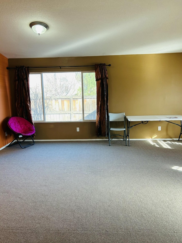 unfurnished room with carpet and a textured ceiling