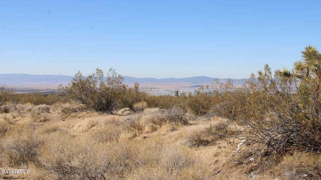 2 Dawn Rd, Rosamond, CA 93560 - photo 6