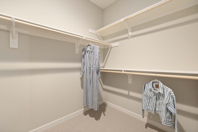 spacious closet featuring carpet flooring