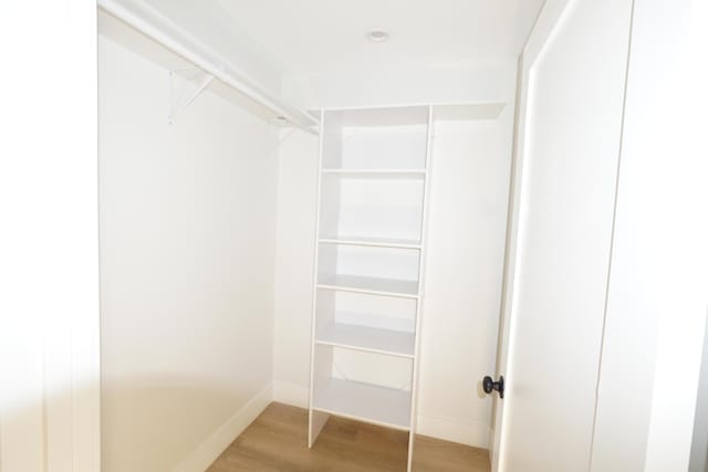 spacious closet with wood-type flooring