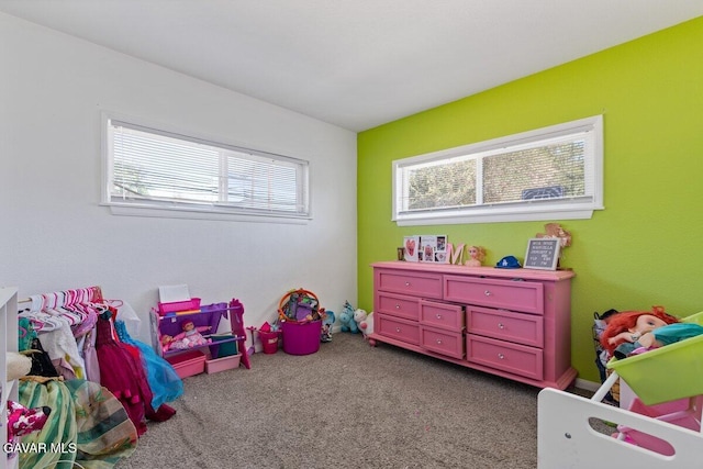 35927 E 80th St, Littlerock, CA 93543 - photo 22