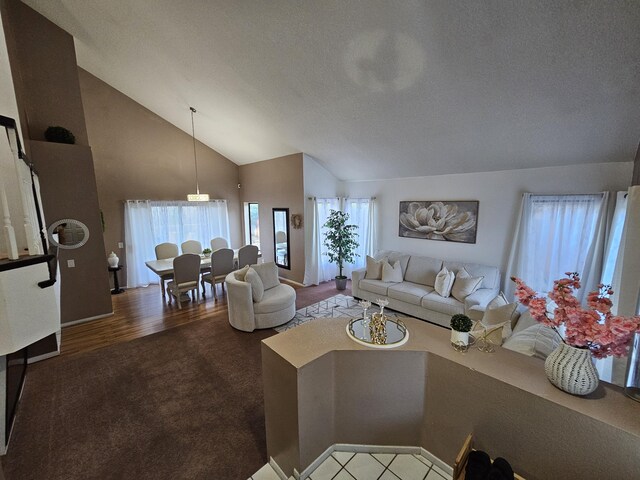403 Sunrise Ter, Palmdale, CA 93551 - living room featuring high vaulted ceiling, carpet flooring, and a textured ceiling
